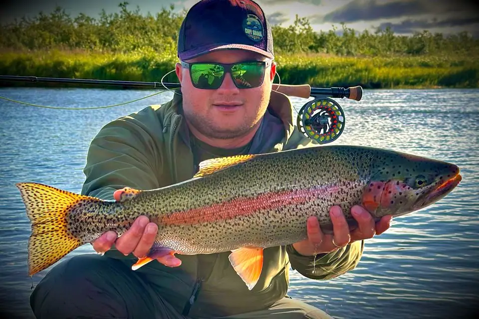 Kanektok River rainbow trout