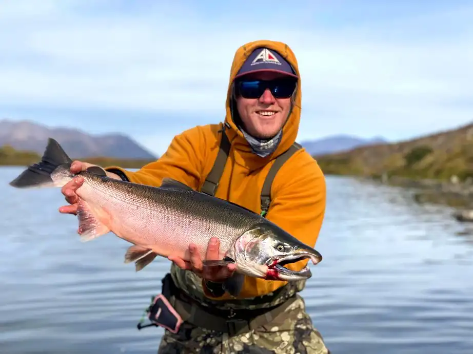 Coho on the Togiak River - Togiak NWR