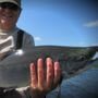 Goodnews River float trip schedule