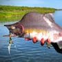 float trips schedule goodnews river