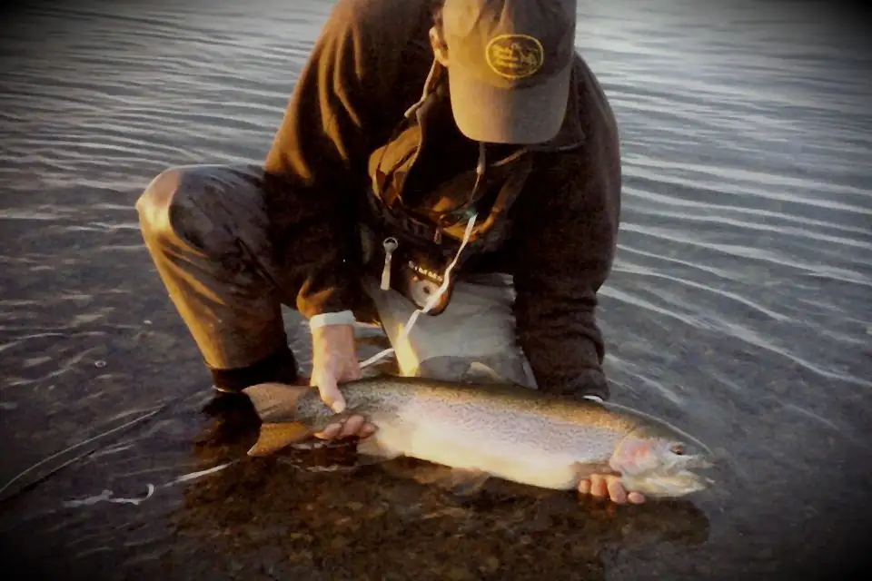 Nice Alaska Rainbow Trout-Alaska Rainbow Adventures
