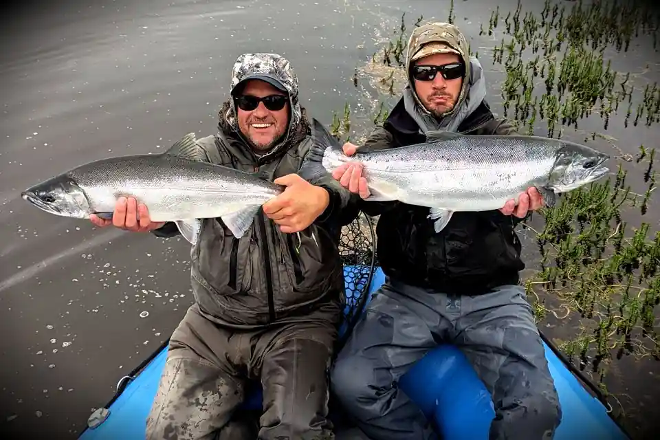 Pair of coho and happy anglers on the Arolik River Alaska