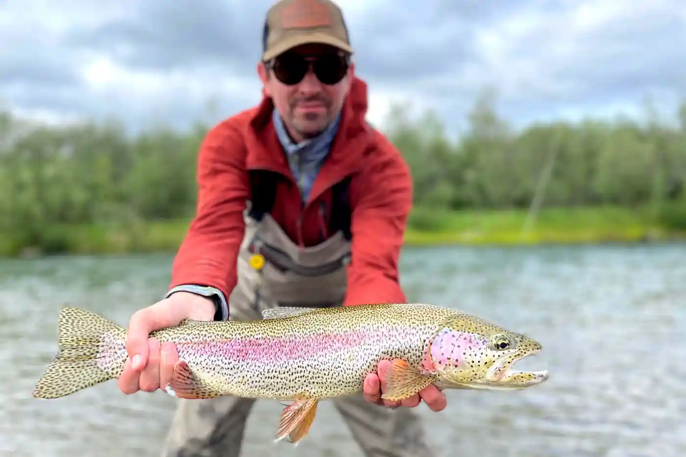 Kanektok River rainbow trout